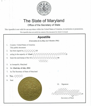 US Notarization/US Apostille