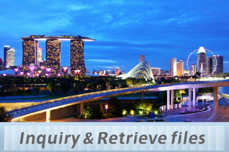 Singapore Document Search and Retrieval